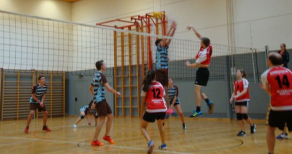 Das Mixed-Volleyball-Team der BHAK/BHAK ZwettlHAS Zwettl in Action